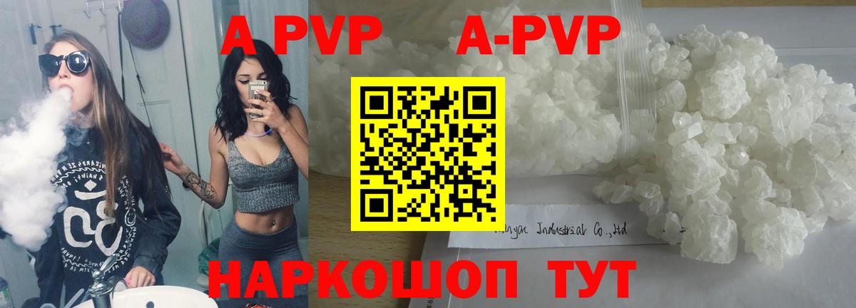 A PVP СК КРИС Энгельс