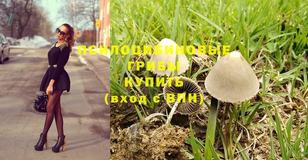 кокс Абдулино