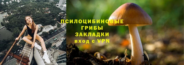 кокс Абдулино