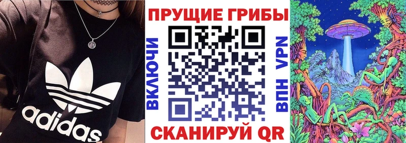 Псилоцибиновые грибы Cubensis  Энгельс 