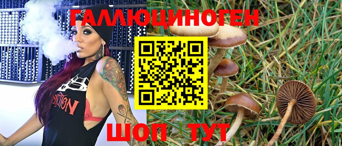 Псилоцибиновые грибы MAGIC MUSHROOMS Энгельс