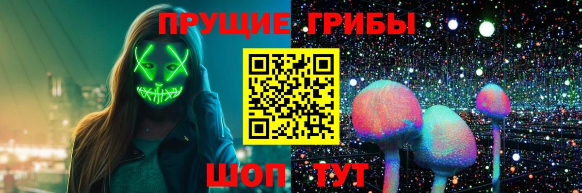 Псилоцибиновые грибы GOLDEN TEACHER  Вход с VPN  Энгельс  что такое наркотик  Псилоцибиновые грибы мухоморы 